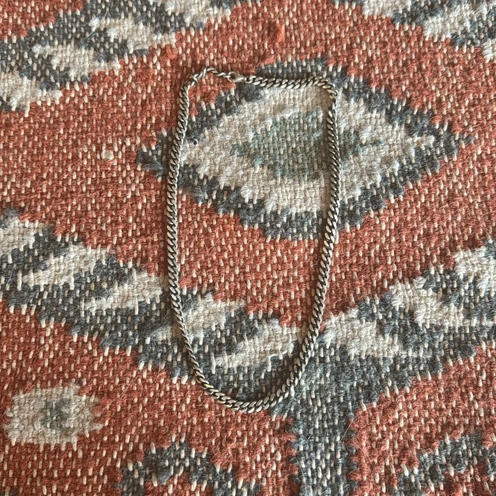 NWOT Serge de Nimes Curb Chain Necklace in Silver